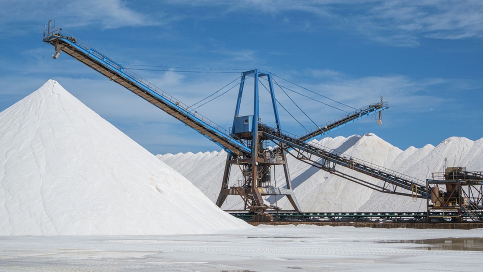 Sea Salt